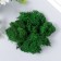 The moss stabilized "green" 500 gr (+-5 gr).