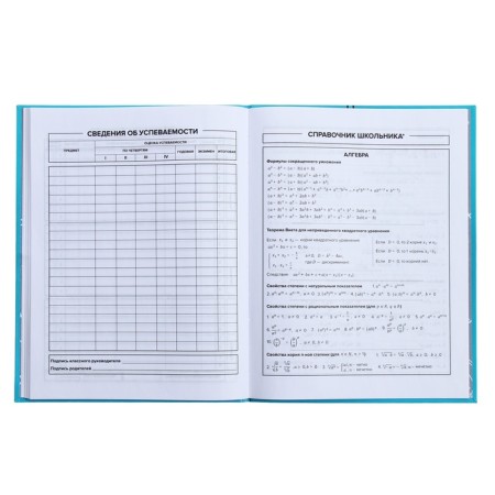 Universal Diary Grade 1-11, 48 sheets "Blue Headphones", integral cover, matte lamination, selective UV-clock-9