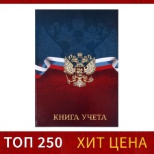 Book of accounting, 96 sheets, cardboard cover 7BC, newspaper block, cell, Russian Federation, blue-red