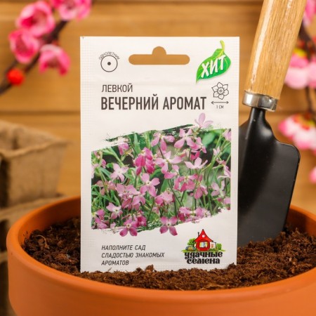 Mattiola flowers bicaros "evening aroma", mixture, o, 0.3 g-2