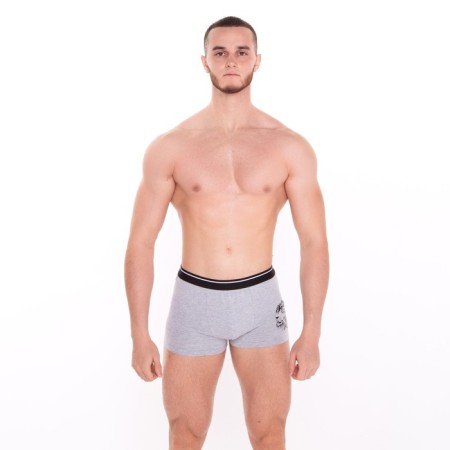 Panties men's boxers "lion", color gray melange, size 56