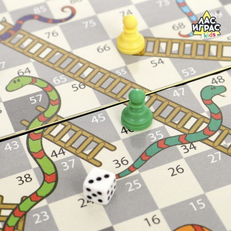 Board Brodiller "Snake", plastic field, 2 players, 3+-1