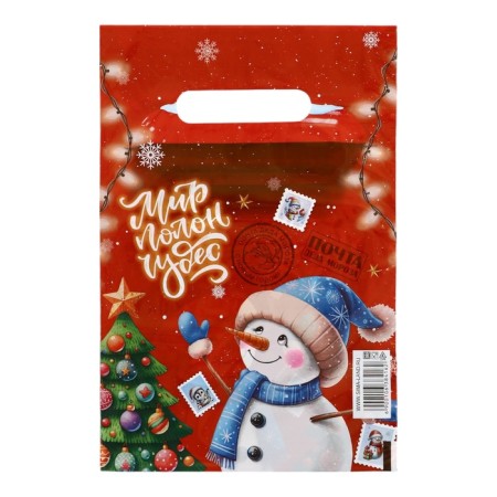 Package "Snowman World is full of miracles", plastic with a cut pen, 20x30 cm, 30 μm-1