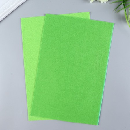 Soft felt 1 mm 20x30 cm salad mix-2
