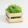 Filling paper, green linden, 1000 g