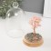 Souvenir "Cash tree in a flask with a pen" Pink 36 stones 8.2x8.2x13 cm