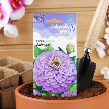 Cinnia Lavender Flowers "Lavender Grages", 0.5 g-2