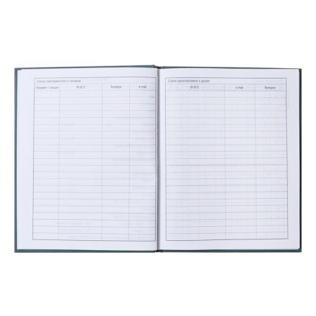 Diary solid cover 1-11 grade, Girl Power, metallic, selective varnish, 40 sheets-6