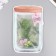 Artificial plant for creativity "Araucaria" set 12 pcs green 9.5 cm