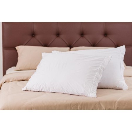 Organic pillow, size 50x70 cm-2