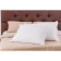 Organic pillow, size 50x70 cm