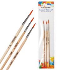 System of Synthetics 3 pieces (round: No. 1,2,3) with wooden handles, on a blister