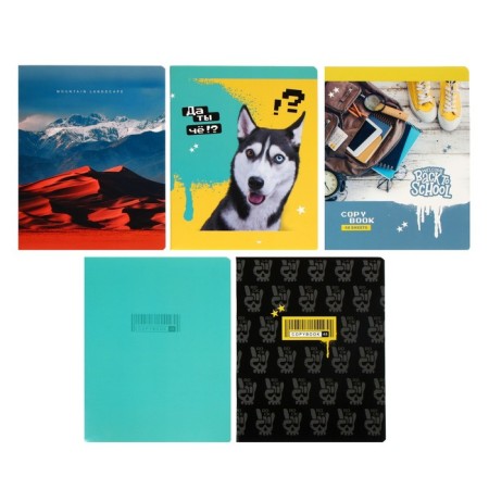 Notebook of 48 sheets in the “Boys” cage, cover coated cardboard, offset block, mix-1