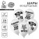 Shar Latex 12 “Happy Birthday”, humor, white, set of 25pcs.