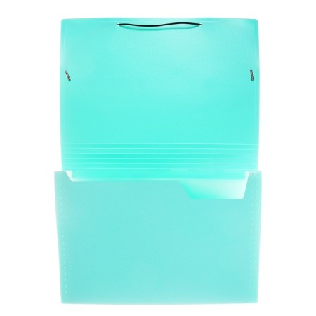Folder Carder Calligrata watercolor 6 department. A4 plastic 0.7mm mint, black resident-3