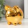 Piggy bank Ceramics "Smiling Pig" MIX 10x7.5x9 cm