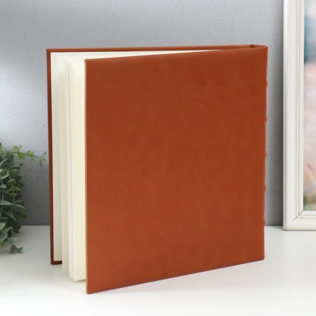 Photo album "Compass" 30 magnetic sheets 31x32 cm-1
