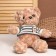 Soft toy "Bear", 31 cm, Mix colors
