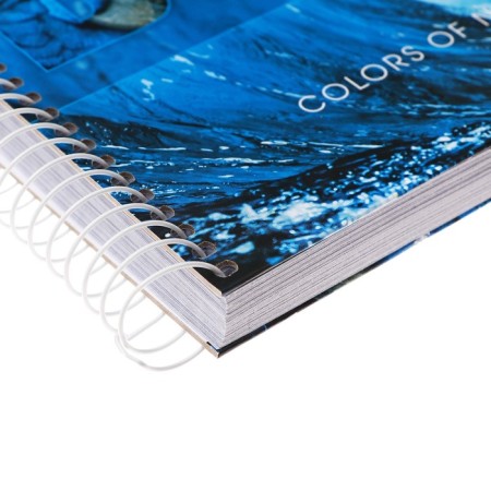 120 sheets college, in a cage on the crest "Harmony of Color", solid cover, offset block-2