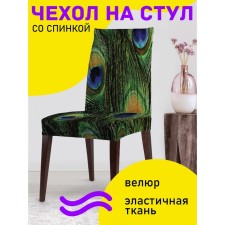 Czech on the chair 