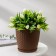 Pot for flowers with a paradon "Roatan", 1.2 l, the color is dark brown