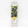 Aronia of Chernolod "Amit", 1 pc, tube, spring 2025