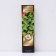 Bubble of the Kalinolite Lux "Enis Gold", 1 pc, tube, spring 2025