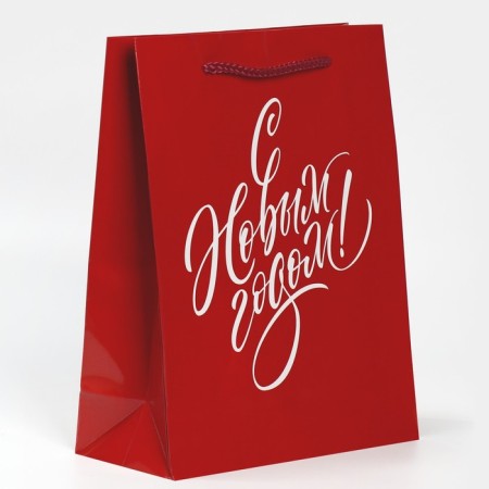 Laminated vertical packet “With a gift for you”, ML 21 x 25 x 8 cm, New Year-1