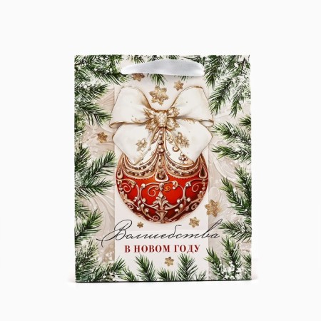 Package Gift New Year Laminated "Magic in the New Year", MS 18 x 23 x 10 cm, New Year-3