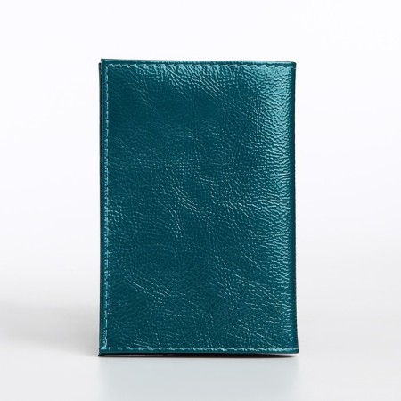 Covers for passport, turquoise color-1