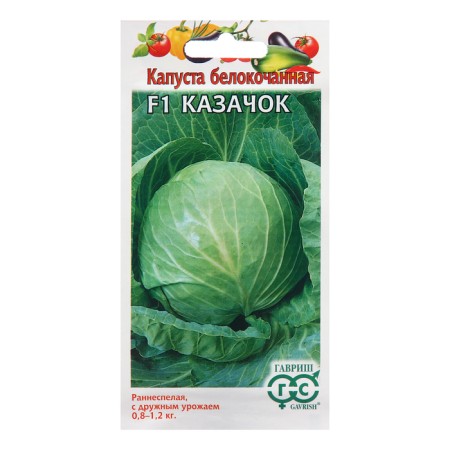 Cabbage seeds Belokoch. "Cossack", F1, 10 pcs.