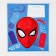 Notebook in a cage 12 sheets, 5 types of mix, cover coated cardboard, spider-man