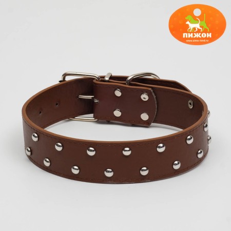 The riveted collar in 2 rows, 63.5 x 3.8 cm, brown