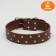 The riveted collar in 2 rows, 63.5 x 3.8 cm, brown
