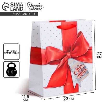 Gift Laminated Vertical, packaging, “special person”, Ml 23 x 27 x 11.5 cm