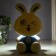 Table lamp 16285/1 15xLED 2W 2 USB MIX 10x12.5x22 cm Risalux
