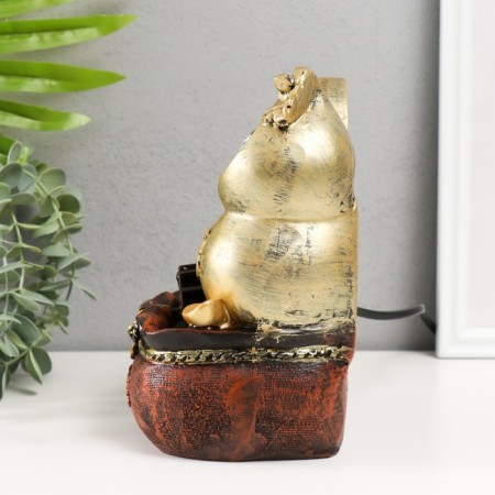 The desktop fountain from the network "Chinese wealth coin" 11x14x20 cm-3