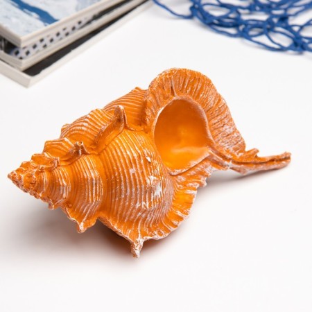 Interior souvenir "shell" 23x11x10cm-2