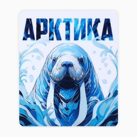 Vinyl magnet "Arctic" 6 x 7 cm-2
