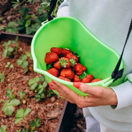 Berry collection capacity, 3 l, green-10