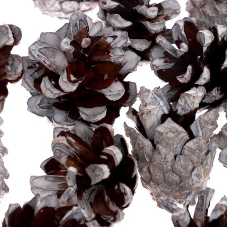 New Year's set of cones "White Tale" 75 g-2