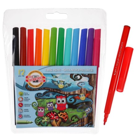 Flomasters 12 zviv "Owls", washed off, three-sided, Koh-I-Noor, in plastic packaging, euro suspension