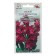 Flower seeds with Levka "Katz Crimson", 10pcs
