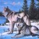 Souvenir Scroll "Two Wolves"