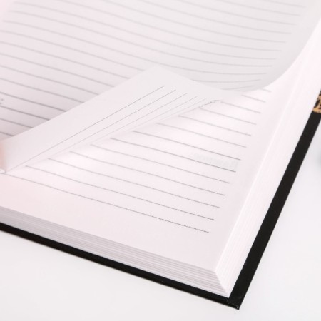 Diary of the Teacher "Golden Teacher", A5 format, solid cover cardboard 7BC, 160 sheets-12