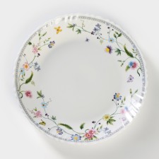 OLAFF plate 