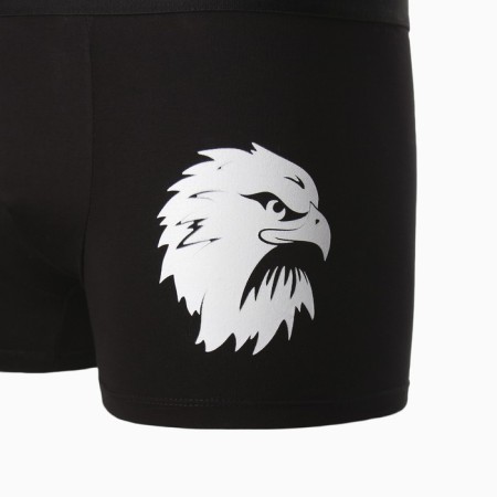 Panties men's boxers "eagle", black color, size 50-6