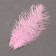 Feather for decor, size: 20-24 cm, pink color