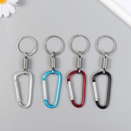 Metal keychain "Carabiner with a spring" mix 10 cm