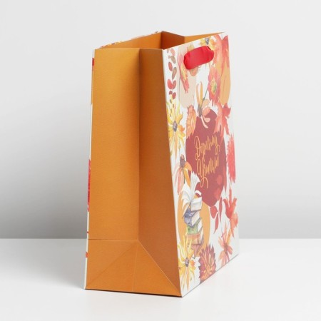 Package Gift Laminated Vertical, Packaging, "Dear Teacher", ML 27 x 23 x 11.5 cm-2